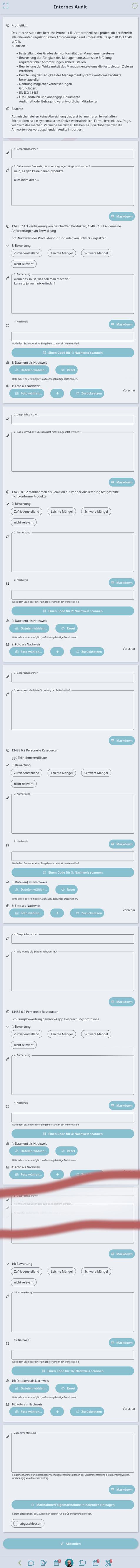 audit screenshot